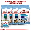 Royal Canin Starter