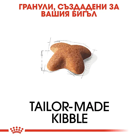 Royal Canin Beagle Adult 3kg - суха храна за бийгъли в зряла възраст над 12 месечна възраст