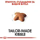 Royal Canin Beagle Adult 3kg - суха храна за бийгъли в зряла възраст над 12 месечна възраст