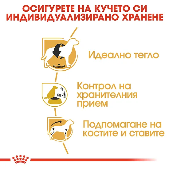 Royal Canin Beagle Adult 3kg - суха храна за бийгъли в зряла възраст над 12 месечна възраст