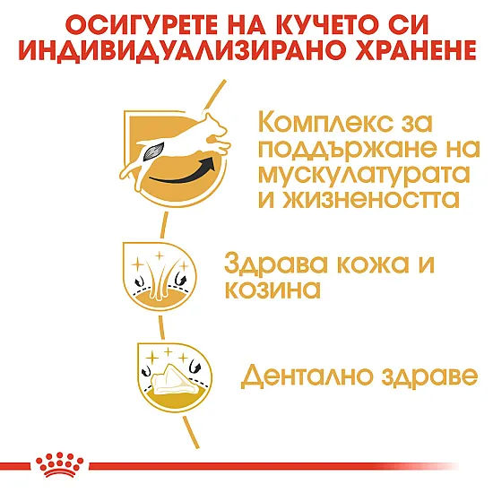 Royal Canin Jack Russell Terrier Adult-суха храна за джак ръсел 1.5 кг