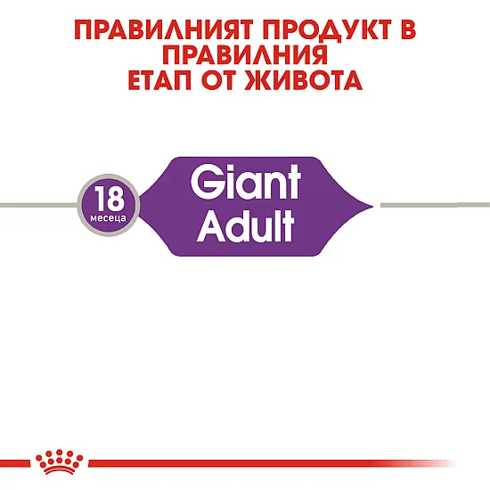 Royal Canin Adult Giant 15kg - Пълноценна суха храна за кучета от гигантски породи над 18/24 месеца