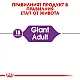 Royal Canin Adult Giant 15kg - Пълноценна суха храна за кучета от гигантски породи над 18/24 месеца