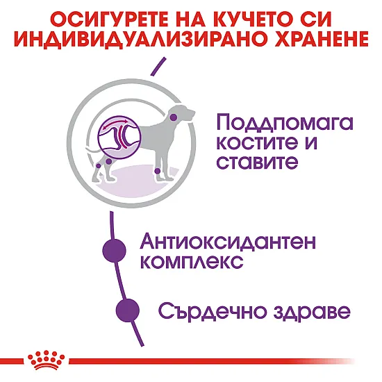 Royal Canin Adult Giant 15kg - Пълноценна суха храна за кучета от гигантски породи над 18/24 месеца