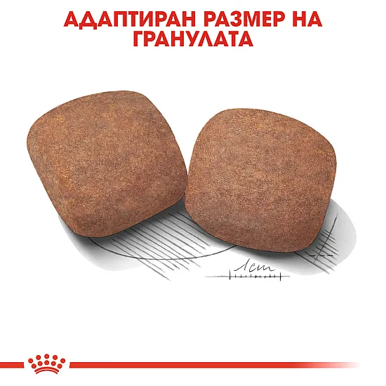 Royal Canin Adult Giant 15kg - Пълноценна суха храна за кучета от гигантски породи над 18/24 месеца