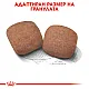 Royal Canin Adult Giant 15kg - Пълноценна суха храна за кучета от гигантски породи над 18/24 месеца