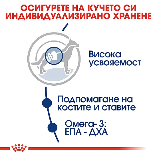 Royal Canin Adult Maxi - Пълноценна суха храна за кучета от едри породи от 15 месеца до 5 години