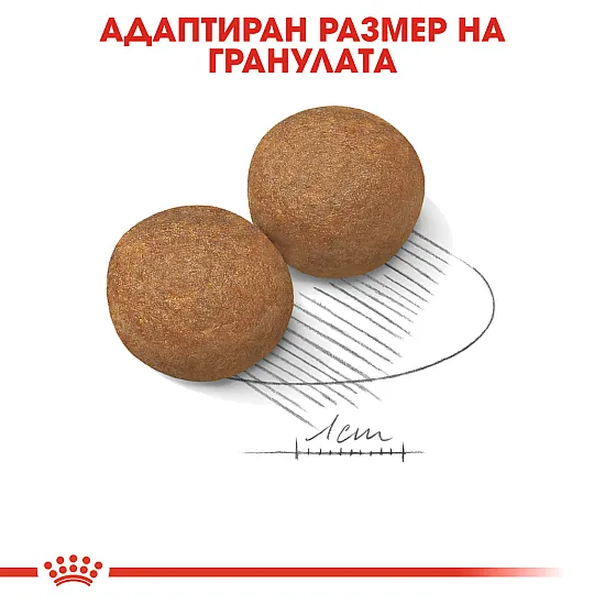 Royal Canin Adult Maxi - Пълноценна суха храна за кучета от едри породи от 15 месеца до 5 години