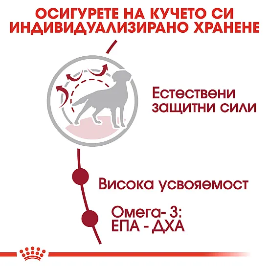 Royal Canin Adult Medium - Пълноценна суха храна за кучета от средни породи от 1 до 7 години
