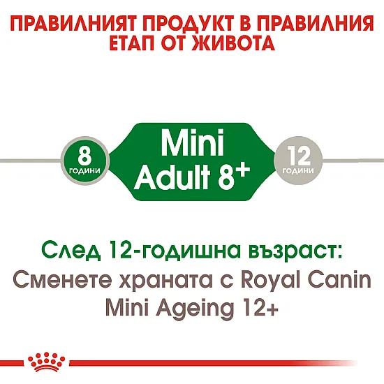 Royal Canin Adult Mini 8+ - Пълноценна суха храна за кучета от дребни породи от 8 до 12 години