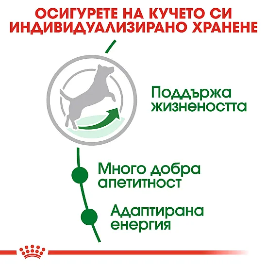 Royal Canin Adult Mini 8+ - Пълноценна суха храна за кучета от дребни породи от 8 до 12 години