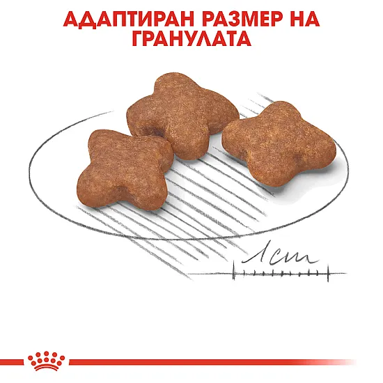 Royal Canin Adult Mini 8+ - Пълноценна суха храна за кучета от дребни породи от 8 до 12 години