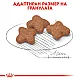 Royal Canin Adult Mini 8+ - Пълноценна суха храна за кучета от дребни породи от 8 до 12 години