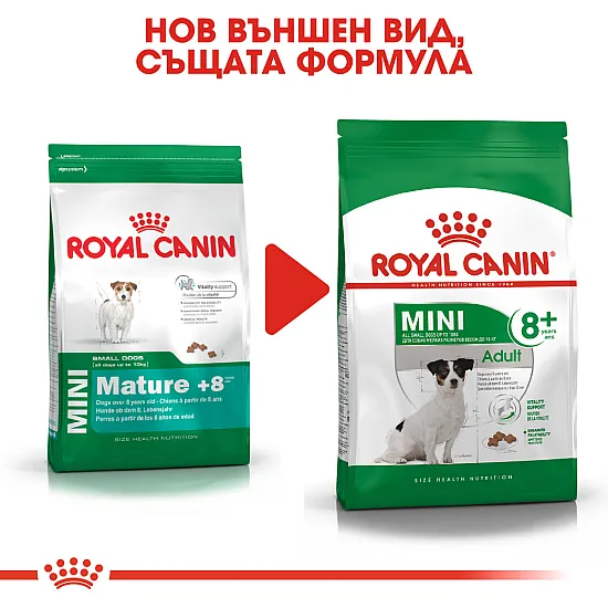 Royal Canin Adult Mini 8+ - Пълноценна суха храна за кучета от дребни породи от 8 до 12 години