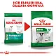 Royal Canin Adult Mini 8+ - Пълноценна суха храна за кучета от дребни породи от 8 до 12 години