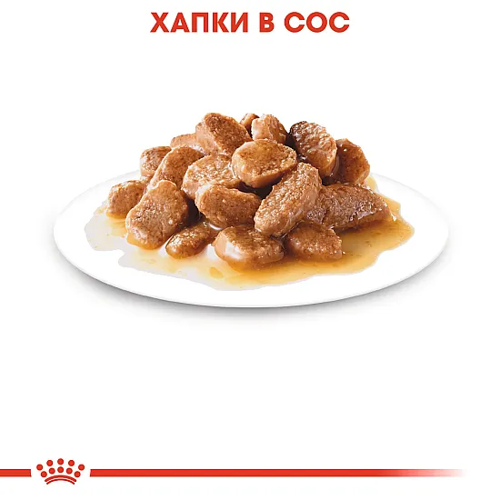Royal Canin Adult Mini Pouch 12x85g - Пълноценна мокра храна в пауч за кучета от дребни породи в зряла възраст