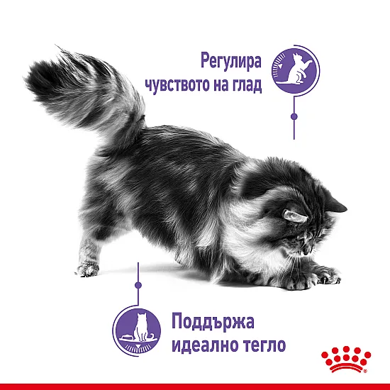 Royal Canin Appetite Control 12x85g - Пълноценна мокра храна за котки над 12 месеца за контрол на апетита