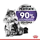 Royal Canin Appetite Control 12x85g - Пълноценна мокра храна за котки над 12 месеца за контрол на апетита