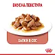 Royal Canin Appetite Control 12x85g - Пълноценна мокра храна за котки над 12 месеца за контрол на апетита