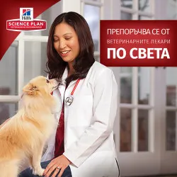 Hill’s Adult Perfect Weight Small & Mini - с пилешко за поддържане на теглото