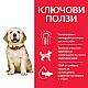 Hill’s Plan Puppy Large Breed - с пилешко месо за кученца от отбиването до 18месеца