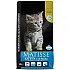 Farmina Matisse Kitten 10 kg-За малки котенца и за бременни и кърмещи котки с пилешко месо, яйца, риба и ориз