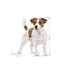 Royal Canin Adult Mini - Пълноценна суха храна за кучета от дребни породи от 10 месеца до 8 години