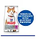 Hill’s Sterilised Cat Young Adult with Duck - с патешко месо