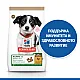 Hill’s Grain Puppy Small & medium - с пилешко за подрастващи кученца