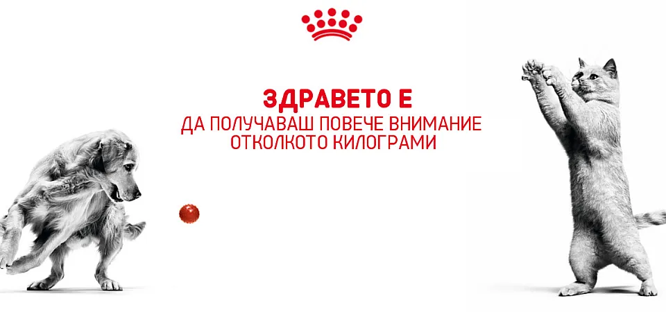 Royal Canin - храна за кучета и котки