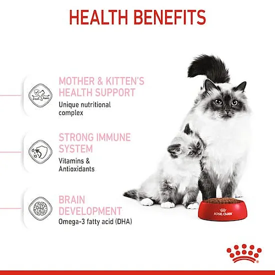 Royal Canin Mother & Babycat - суха храна за бременни и кърмещи котки и подрастващи котенца от 1 до 4 месеца