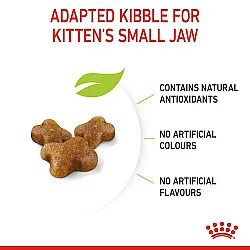 Royal Canin FHN Kitten - суха храна за подрастващи котенца до 12 месеца