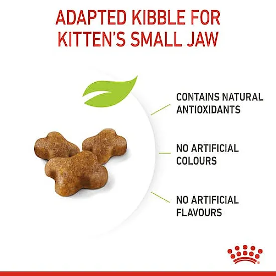 Royal Canin FHN Kitten - суха храна за подрастващи котенца до 12 месеца