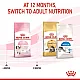 Royal Canin FHN Kitten - суха храна за подрастващи котенца до 12 месеца