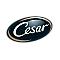 Cesar