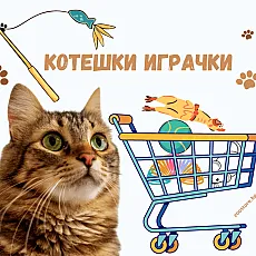 Котешки играчки