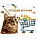 Котешки играчки