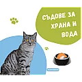 Съдове за храна и вода за котки