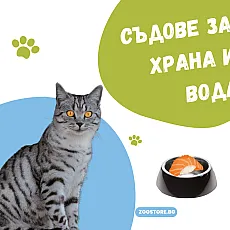 Съдове за храна и вода за котки