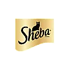 Sheba