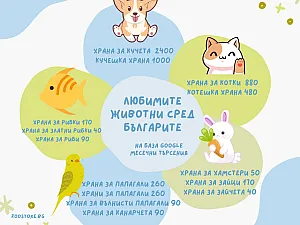 Кои са най-предпочитаните домашни любимци сред българите?
