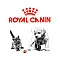 Royal Canin