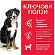 Hill’s Adult Large Breed with Lamb and Rice - с агнешко и ориз - 14 кг