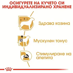 Royal Canin Poodle Adult Pouch 12x85g - Пълноценна мокра храна за кучета от породa Пудел над 10 месеца