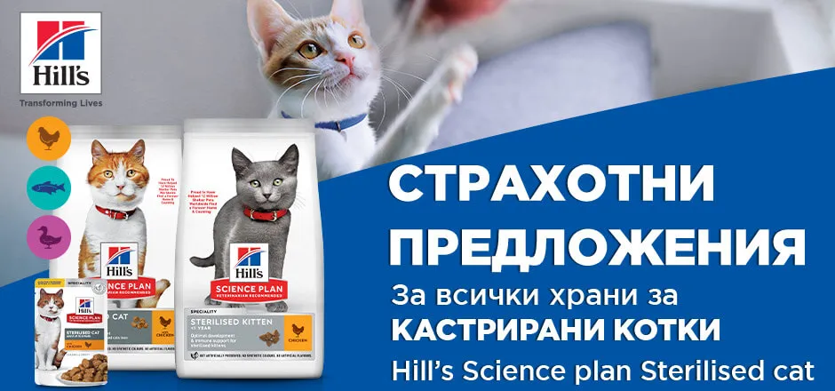 Hills промоция