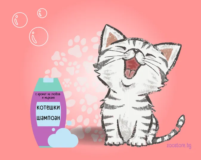 коте баня