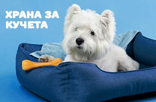 Храна за кучета